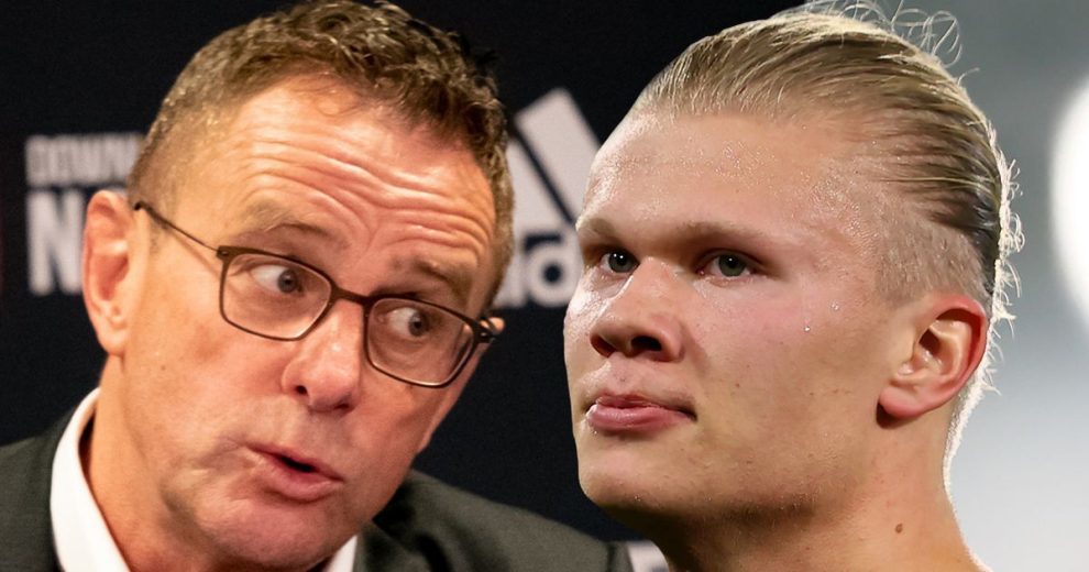 孤张若形势 孤张若形势